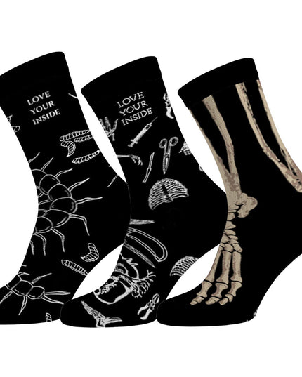 Zestaw Skarpet 3 Pary: Kości, Ryciny Anatomiczne, Wij