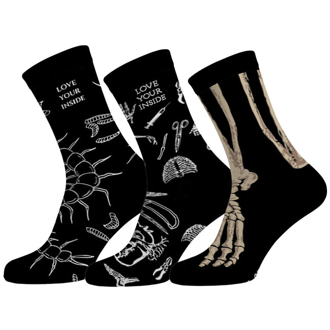 Zestaw Skarpet 3 Pary: Kości, Ryciny Anatomiczne, Wij